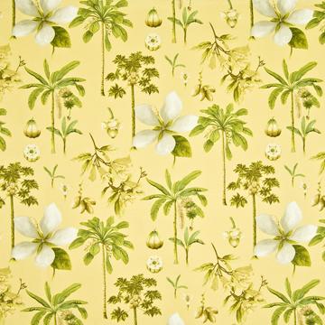 Kasmir Coconut Grove Cornsilk in Classic Elegance, Vol 1 Yellow Multipurpose Cotton Fire Rated Fabric Tropical  Fruit   Fabric