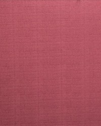 Contessa Geranium by  Kasmir 