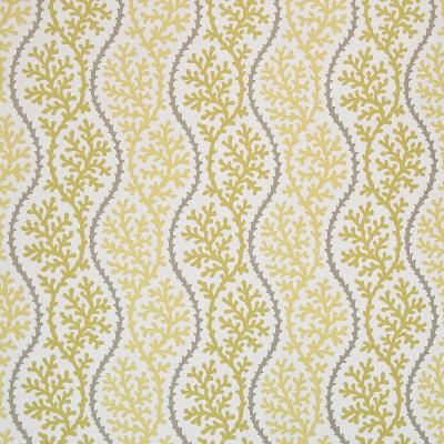 kasmir,great expectations collection,modern fabric,contemporary fabric,transitional fabric,drapery fabric,curtain fabric,window fabric,bedding fabric,upholstery fabric,designer fabric,decorator fabric,discount fabric,fabric for sale,fabric store