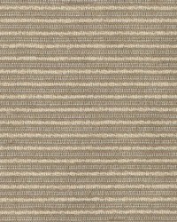 Corvet Khaki by  Kasmir 