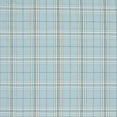 Kasmir Cross Country Robins Egg in Promenade Blue Multipurpose Cotton  Blend Fire Rated Fabric Plaid and Tartan  Fabric