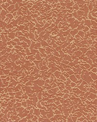 Dc101 Mango by  Kasmir 