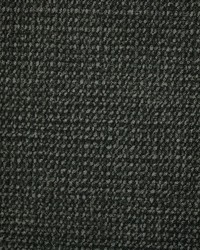 Devlin Moss by  Kasmir 