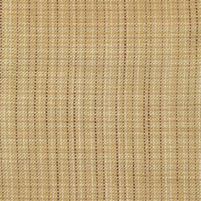 Kasmir Double Cross Birch in Fresh Perspectives, Volume 3 Multipurpose Cotton  Blend Solid Beige   Fabric