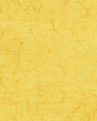 Eastland Goldenrod by  Kasmir 