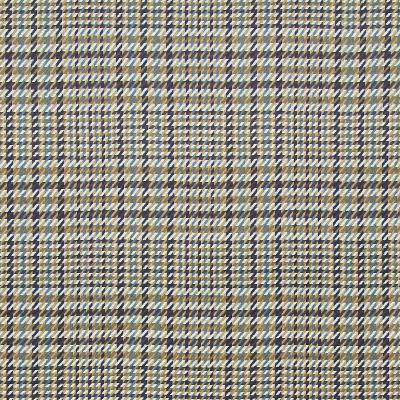 Kasmir Eberhardt Plaid Bluestone in Great Expectations Volume 3 Drapery-Upholstery Cotton Fire Rated Fabric Houndstooth   Fabric