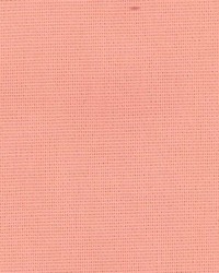 Edmond Bolero by  Kasmir 