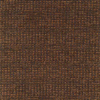 Kasmir Elemental Simply Coco in Fresh Perspectives, Volume 3 Brown Multipurpose Rayon  Blend Fire Rated Fabric Solid Brown   Fabric