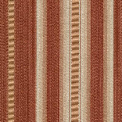 Kasmir Embassy Row Cinnamon Stick in Promenade Brown Multipurpose Polyester  Blend Wide Striped   Fabric