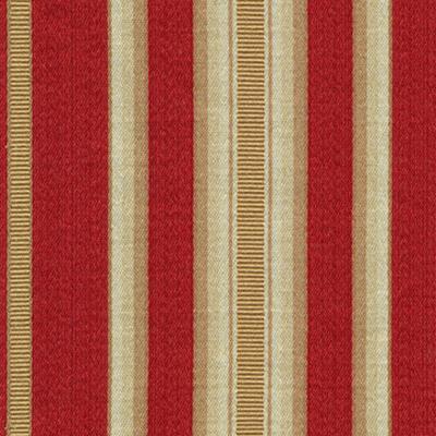 Kasmir Embassy Row Red Hot in Promenade Red Multipurpose Polyester  Blend Wide Striped   Fabric