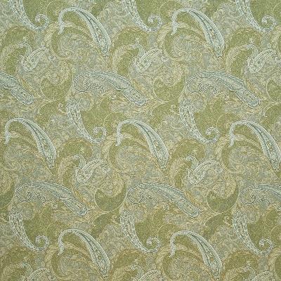 Kasmir Emberton Paisley Willow in Palladium Green Drapery-Upholstery Rayon  Blend Fire Rated Fabric Classic Paisley   Fabric