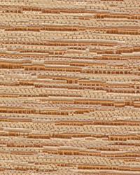 Encore Mango by  Kasmir 