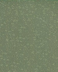 Fairlane Avocado by  Kasmir 