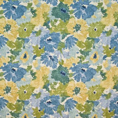 Kasmir Floral Splash Sea Breeze in Great Expectations Volume 3 Blue Drapery-Upholstery Cotton Fire Rated Fabric Line Drawn Flower   Fabric