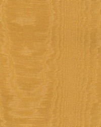 Folio Brass by  Kasmir 