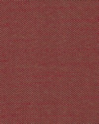 Folklore Cinnamon by  Kasmir 