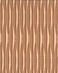 Fr130 Camel by  Kasmir 