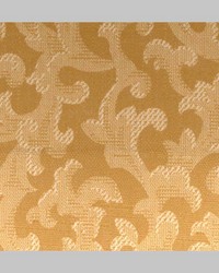 Fr155 Gold by  Kasmir 