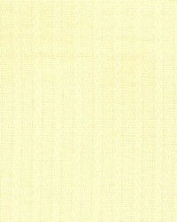 Fr185 Lemon by  Kasmir 