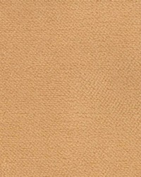 Fr210 Tan by  Kasmir 