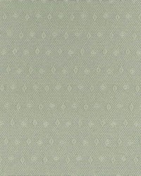 Fr215 Willow by  Kasmir 