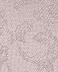 Fr225 Fawn by  Kasmir 