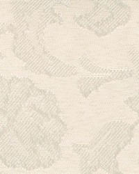 Fr225 Oatmeal by  Kasmir 