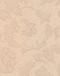 Fr225 Tan by  Kasmir 