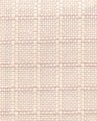 Fr270 Tan by  Kasmir 