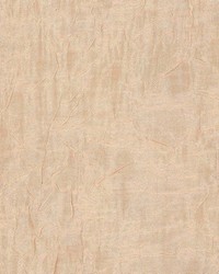 Fs104 Champagne by  Kasmir 