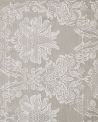 Fs110 Winter by  Kasmir 