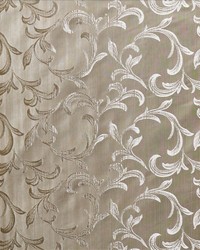 Fs111 Urban by  Kasmir 