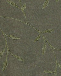 Fs145 Jungle by  Kasmir 