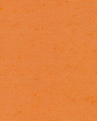 Fullerton Tangerine by  Kasmir 