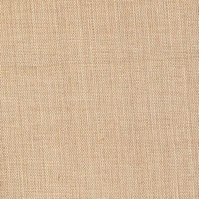 Kasmir Genghis Camel in Silk Road Brown Multipurpose Viscose  Blend Solid Faux Silk  Solid Beige   Fabric