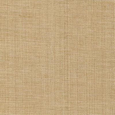 Kasmir Genghis Rye in Silk Road Brown Multipurpose Viscose  Blend Solid Faux Silk  Solid Brown   Fabric