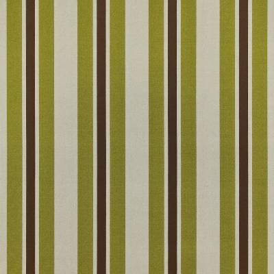 Kasmir Glamour Stripe Lime in Great Expectations Volume 2 Green Drapery-Upholstery Cotton  Blend Fire Rated Fabric Wide Striped   Fabric
