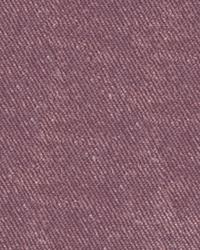 Glisten African Violet by   