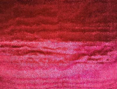 Kasmir Glisten Raspberry in Panache, Volume 2 Red Multipurpose Cotton  Blend Solid Red  Solid Velvet   Fabric
