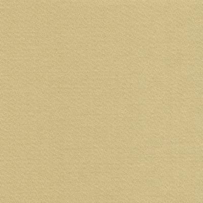 Kasmir Grand Soiree Chamomile in Grand Soiree Beige Multipurpose Polyester  Blend Fire Rated Fabric Solid Satin  Solid Beige   Fabric