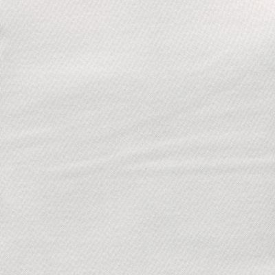 Kasmir Grand Soiree Ivory in Grand Soiree Beige Multipurpose Polyester  Blend Fire Rated Fabric Solid Satin  Solid White   Fabric
