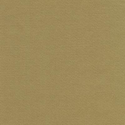 Kasmir Grand Soiree Moss in Grand Soiree Green Multipurpose Polyester  Blend Fire Rated Fabric Solid Satin  Solid Green   Fabric