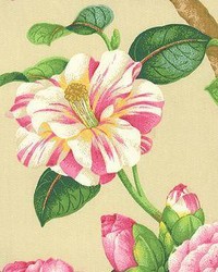 Greenbriar Vanilla by  Kasmir 