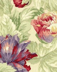 Greensboro Berry by  Kasmir 