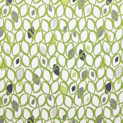 Kasmir Greenwood Park Lime in Great Expectations Volume 3 Green Drapery-Upholstery Cotton Leaves and Trees   Fabric