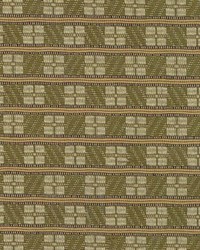 Grimes Lichen by  Kasmir 