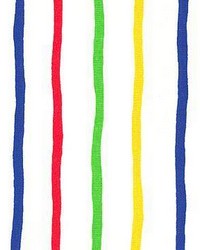 Groove Circus by  Kasmir 