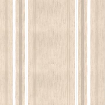 Kasmir Grosgrain Stripe Stone in New Attitudes, Volume 1 Multipurpose Polyester