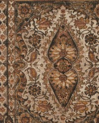 Hammersmith Chocolate by  Kasmir 