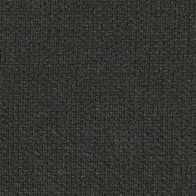 Kasmir Hayden Texture Carbon in Palladium Black Drapery-Upholstery Polyester Fire Rated Fabric Solid Black   Fabric